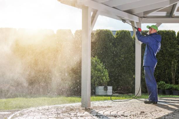 Best Sidewalk and Walkway Pressure Cleaning in Ham Lake, MN
